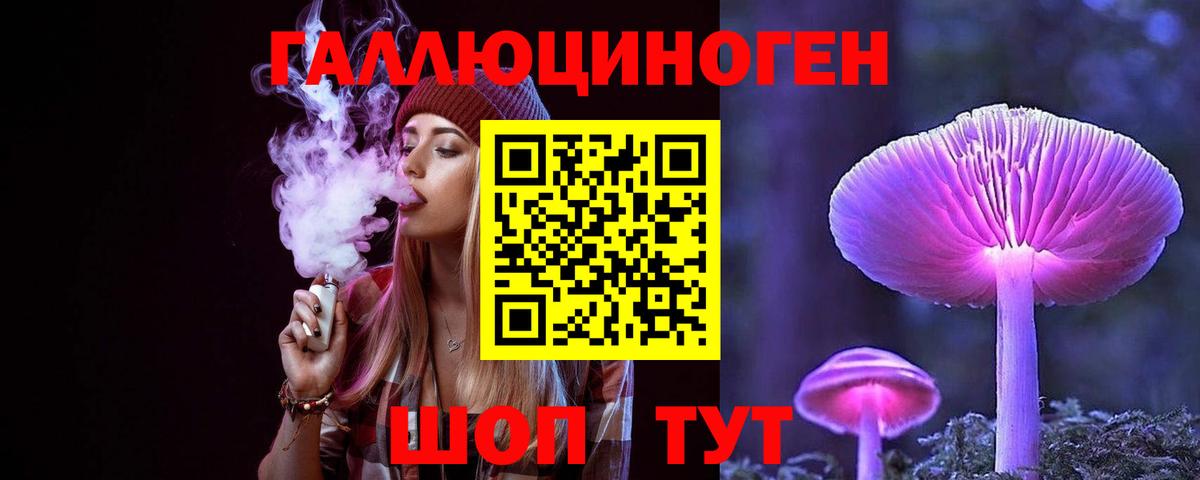 Псилоцибиновые грибы Cubensis Татарск